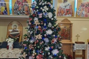 IMG-20231213-WA0003